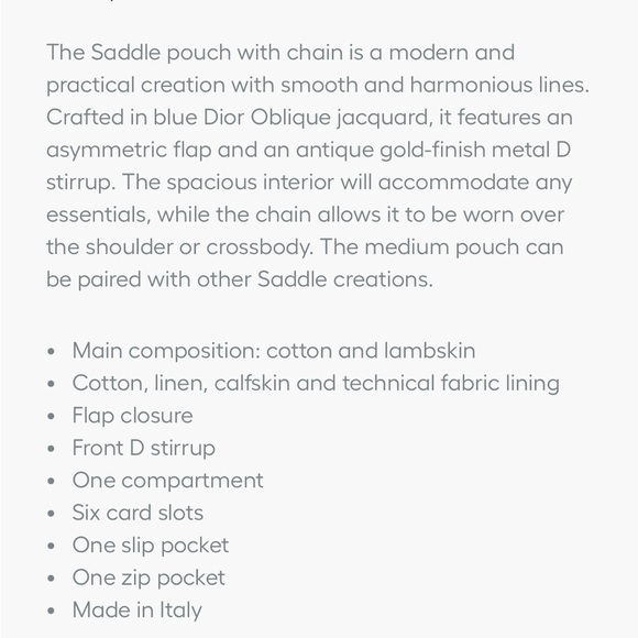 Dior Medium Saddle Pouch with Chain - Picture 9 of 9